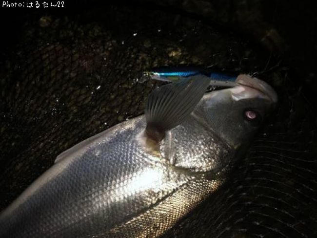 �����Х�