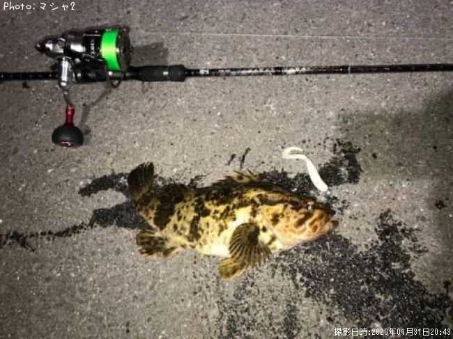 �٥å�������