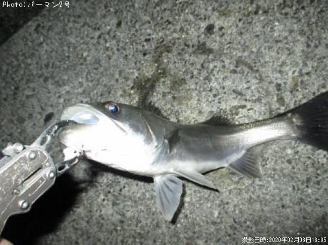 �����Х�