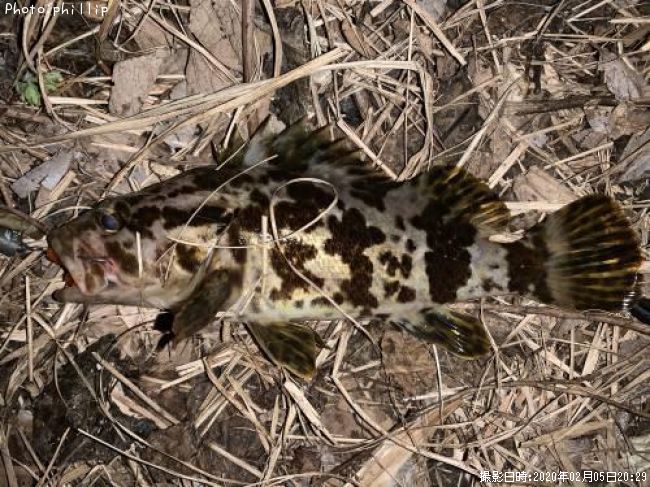 �����Υ���Х�