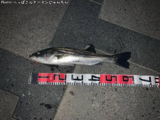 �����Х�