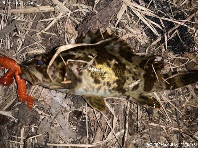 �����Υ���Х�