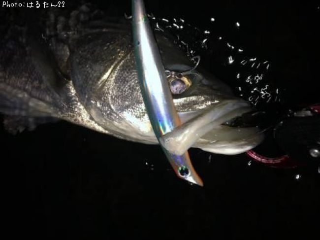 �����Х�