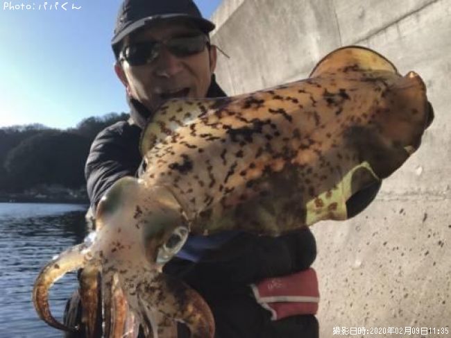 �����ꥤ��