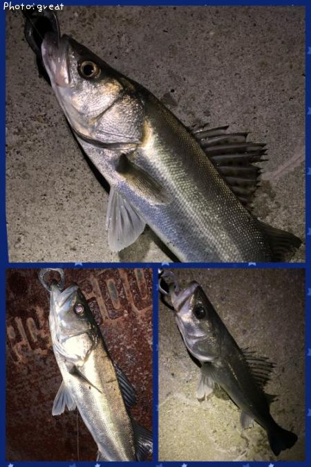 �����Х�