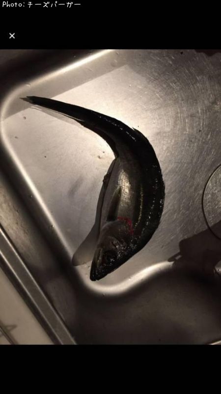 �����Х�