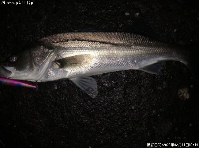 �����Х�