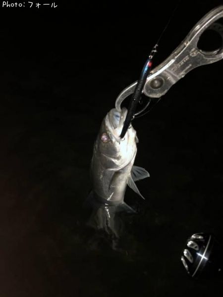 �����Х�