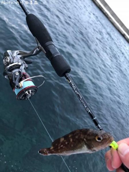 ������Х�