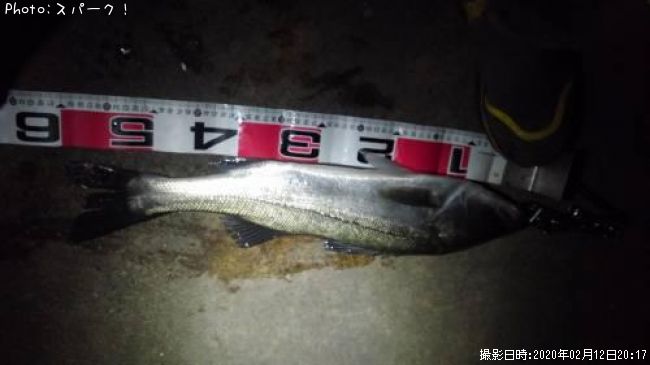 �����Х�