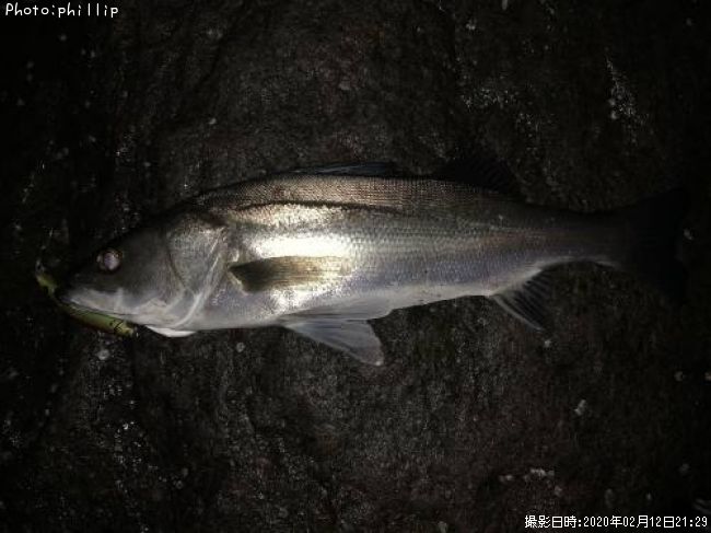 �����Х�