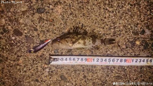 �����Υ���Х�