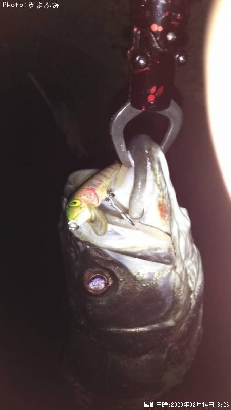 �����Х�