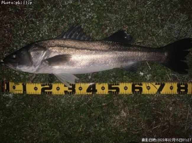 �����Х�