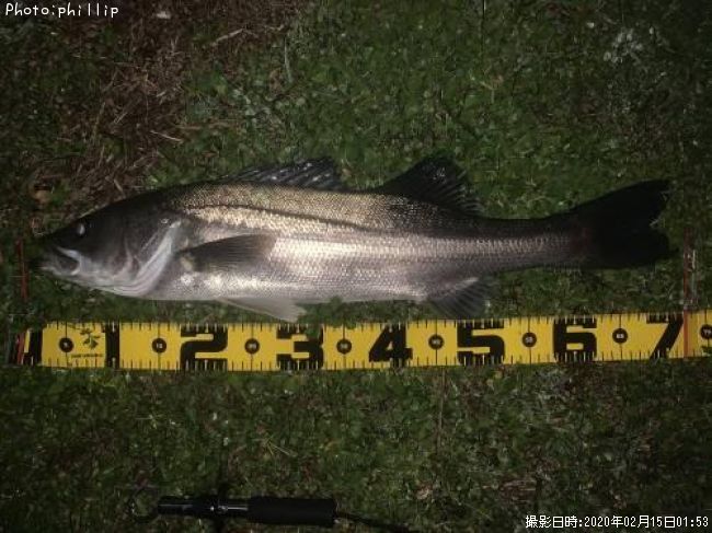 �����Х�