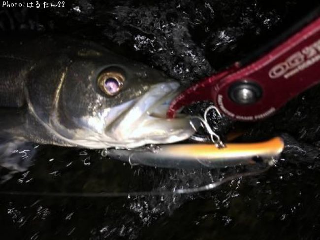 �����Х�