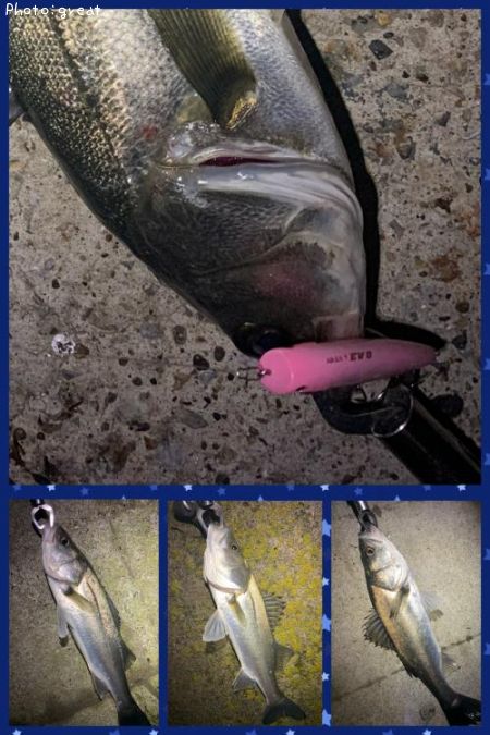 �����Х�