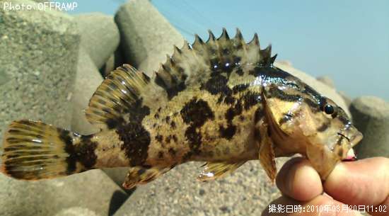 �����Υ���Х�