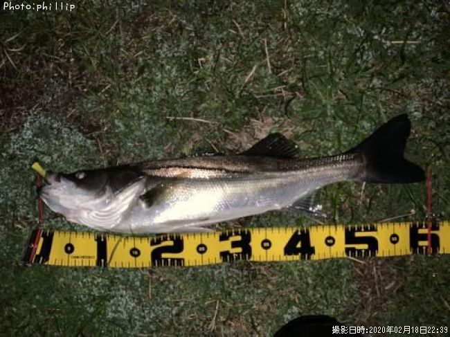 �����Х�