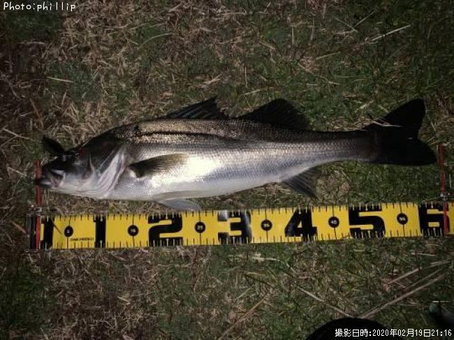 �����Х�