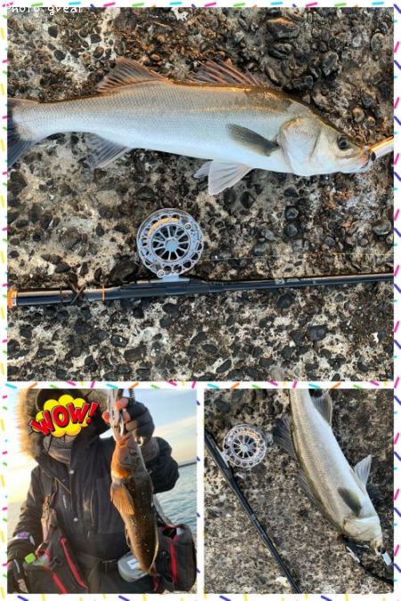 �����Х�