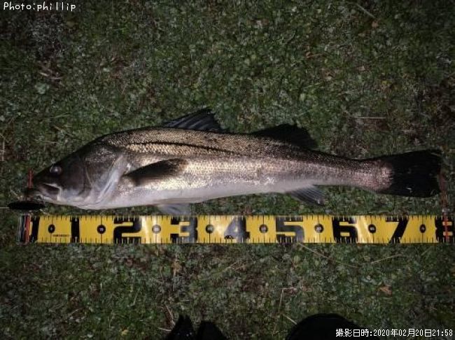 �����Х�