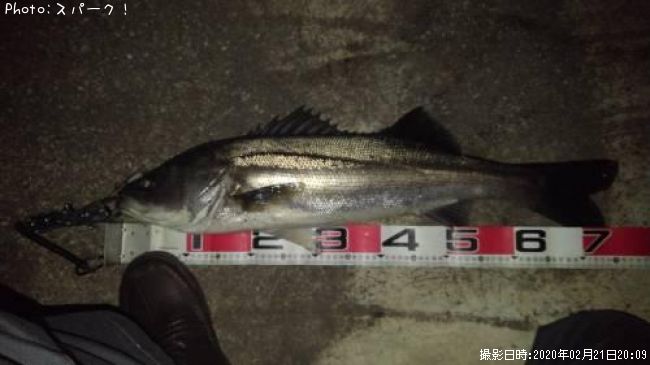 �����Х�