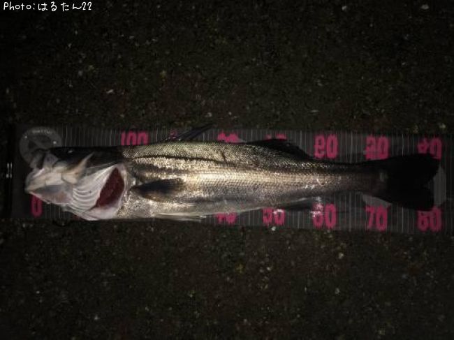 �����Х�