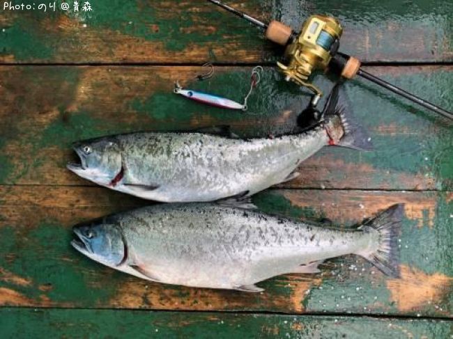 ������ޥ�