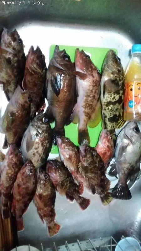 ���å��ե��å���