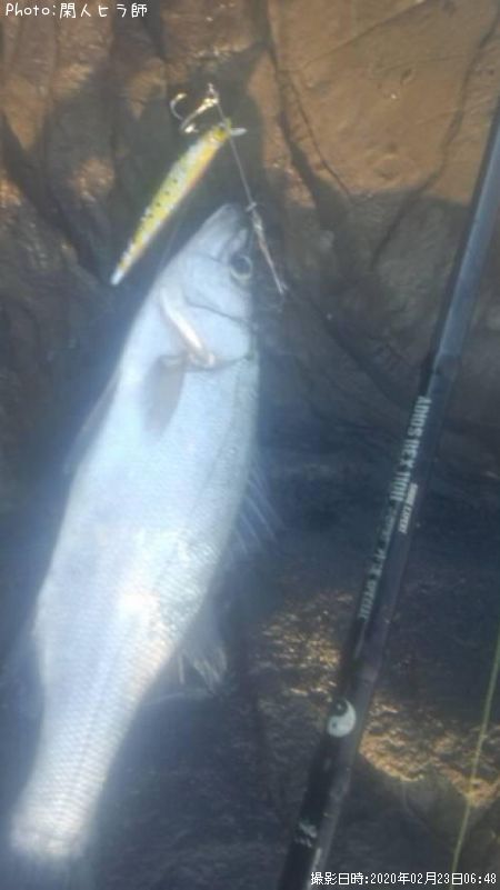 �ҥ饹����