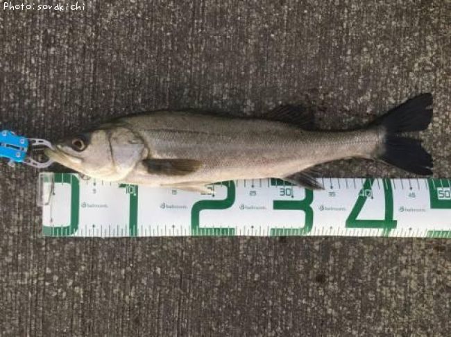 �����Х�