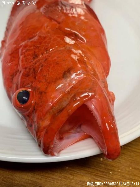 �����ߡ��Х��ڥ����ϥ���