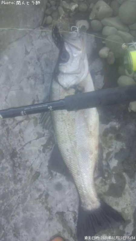 �ҥ饹����