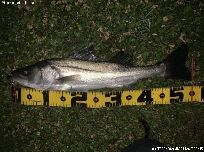 �����Х�