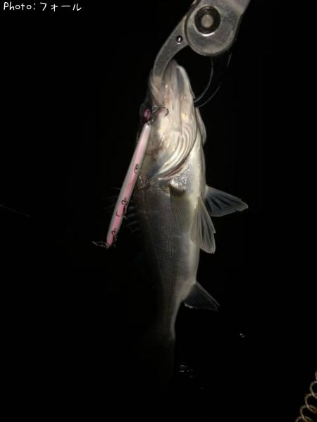 �����Х�