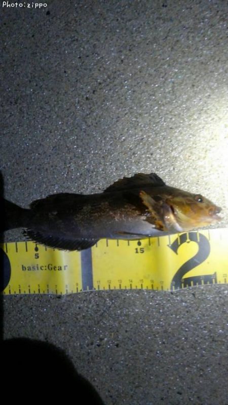 �����ʥ�