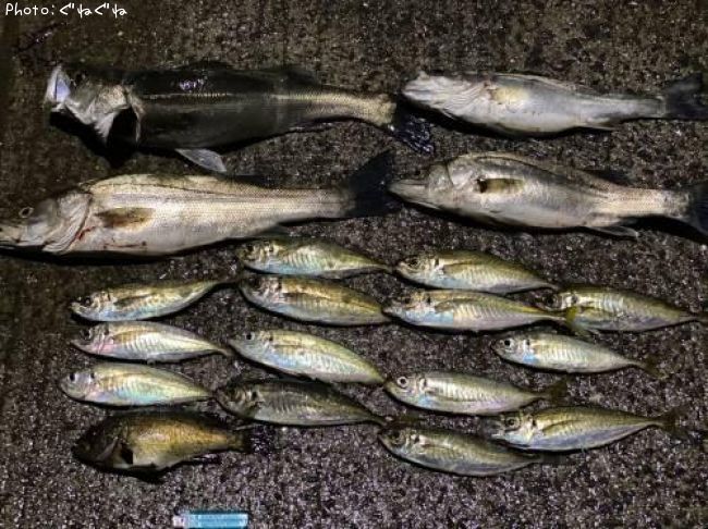 �����Х�����������Х�