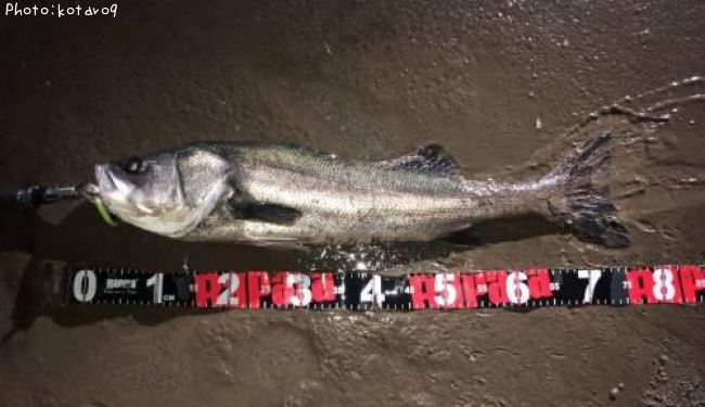 �����Х�