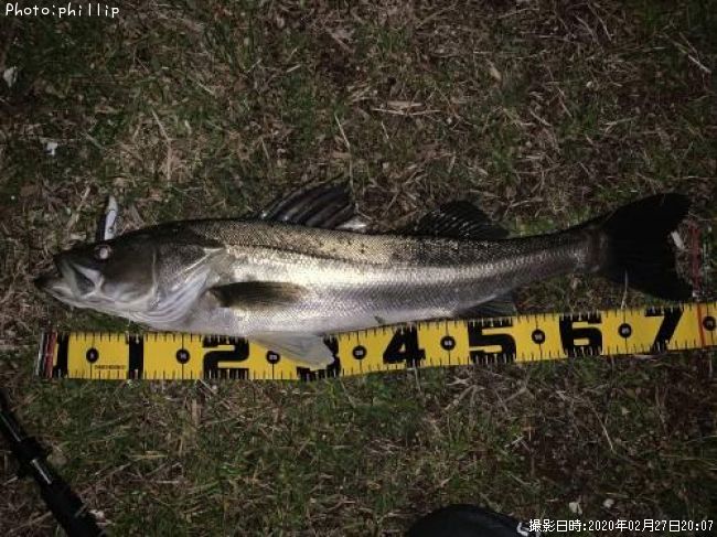 �����Х�