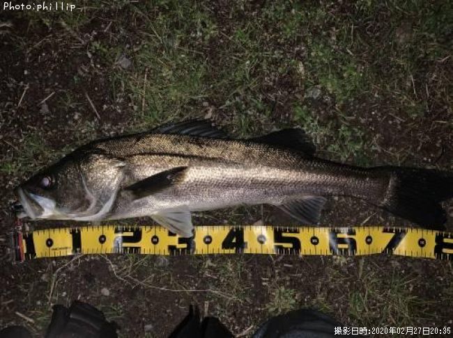 �����Х�