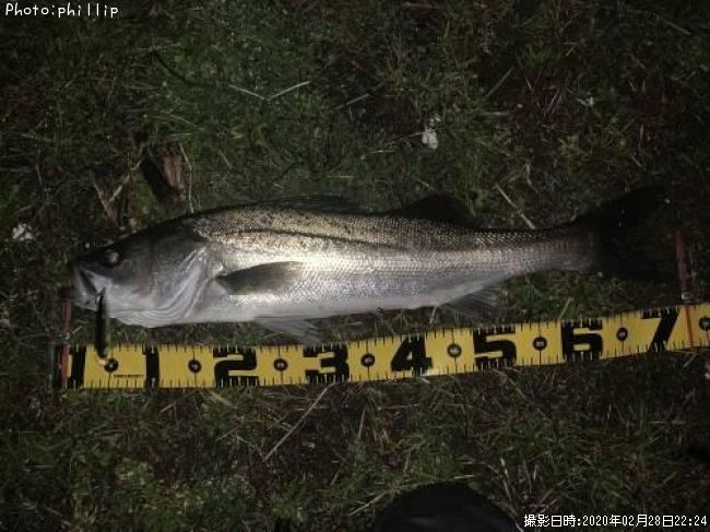 �����Х�