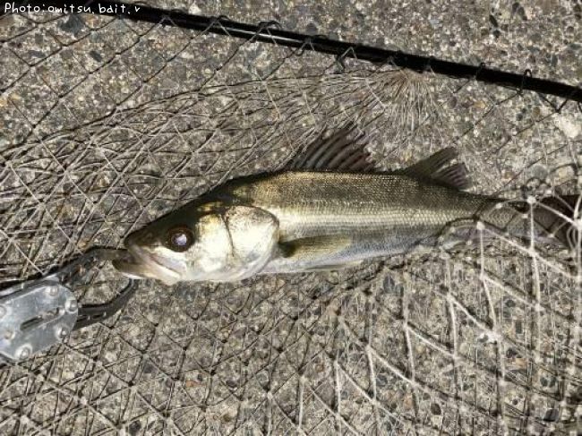 �����Х�