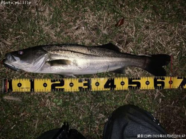 �����Х�