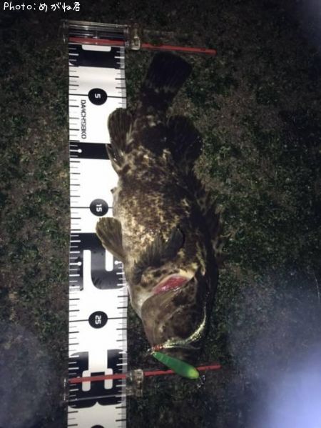 �����Υ���Х�