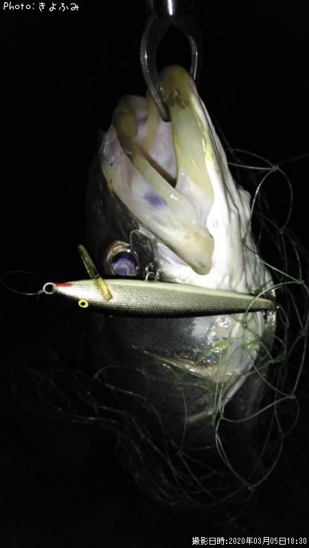 �����Х�