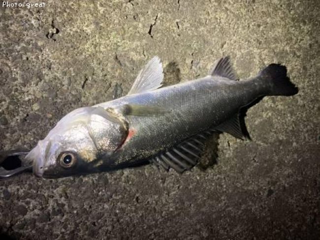 �����Х�