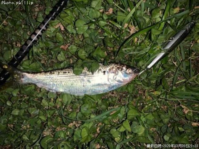 ���Υ���