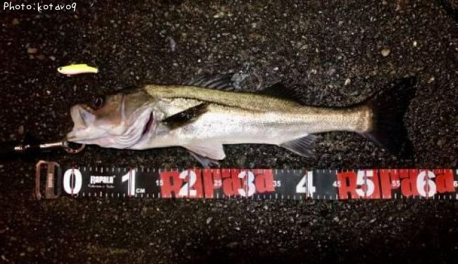 �����Х�