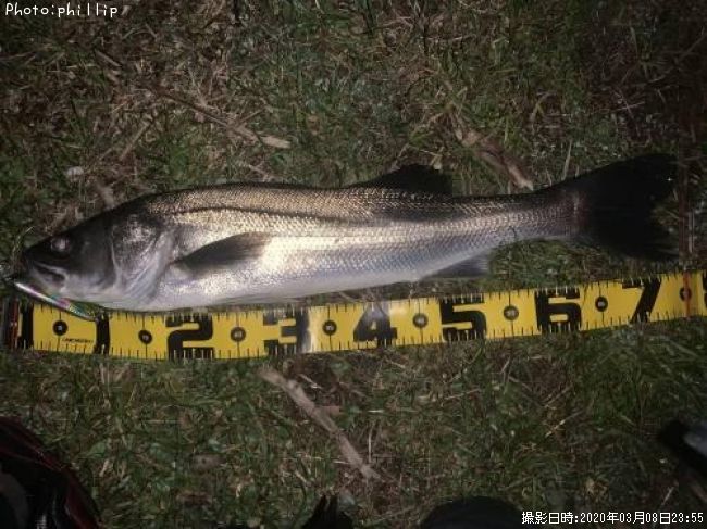 �����Х�